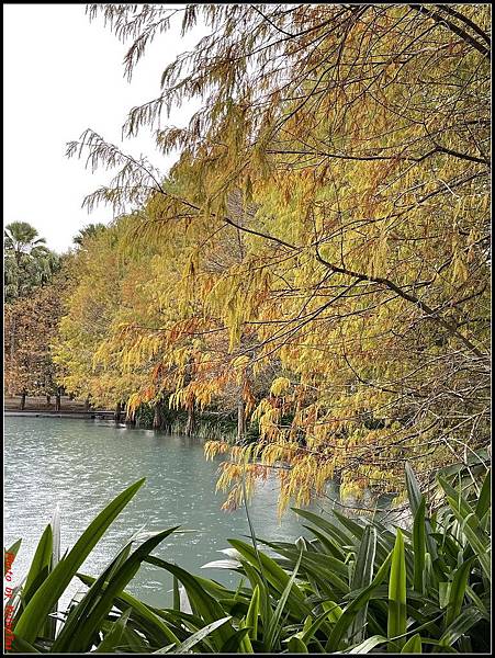 花蓮雲山水0079.jpg