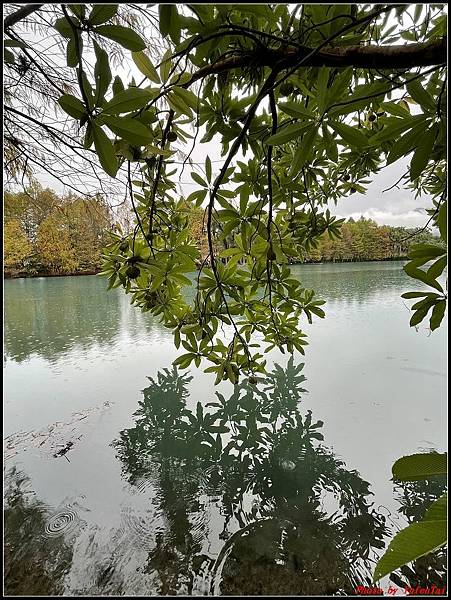 花蓮雲山水0110.jpg