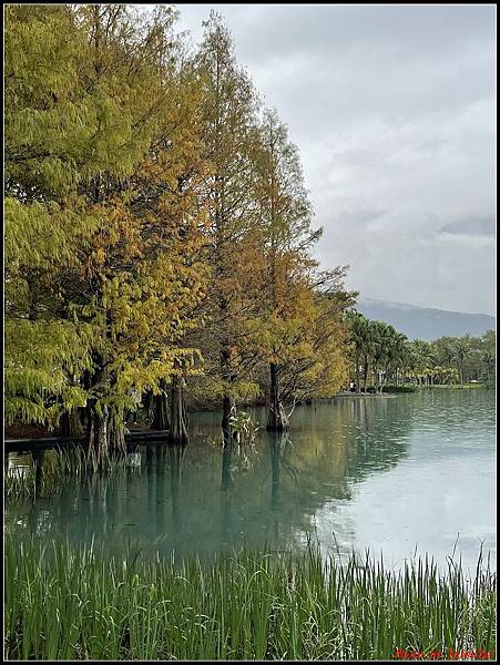 花蓮雲山水0121.jpg