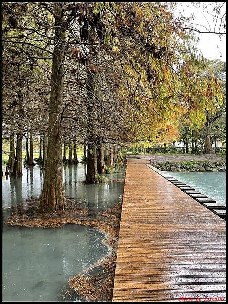 花蓮雲山水0145.jpg