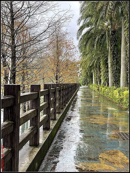 花蓮雲山水0163.jpg