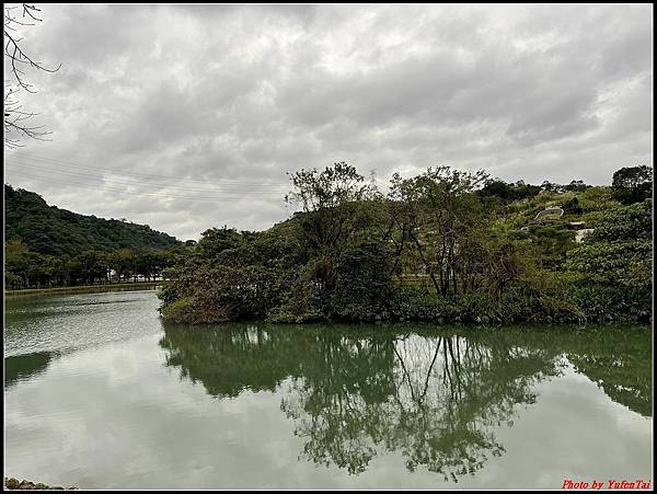 蜊埤湖畔落羽松043.jpg