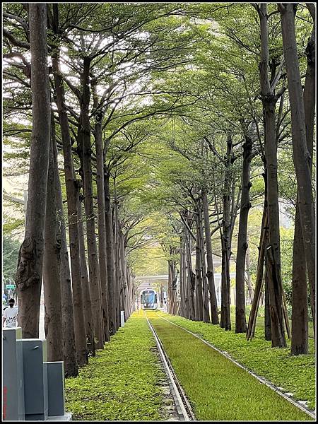 高雄龍貓隧道0026.jpg