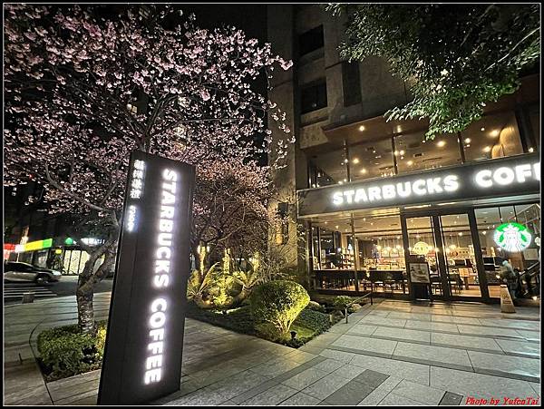 林口星巴克-櫻花018.jpg