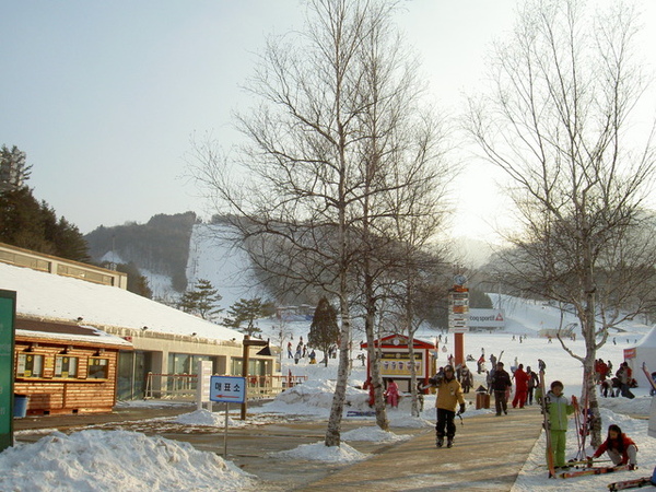 龍平滑雪場(3)