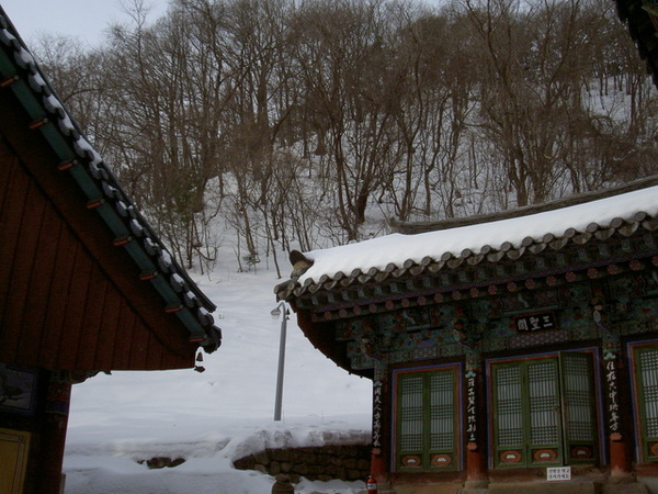 雪嶽山(11)