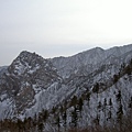 雪嶽山(17)