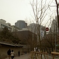 街景(4)