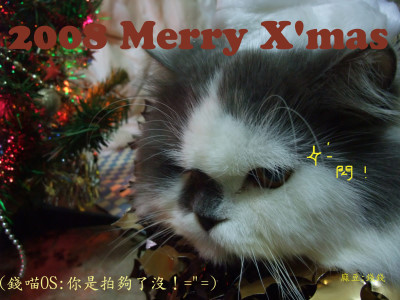 2008X&#39;mas