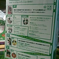 OD3 青蛙宅急便DVD BOX