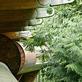 canopy-living-amongst-the-trees-forest-house.jpeg