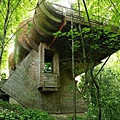 ultimate-tree-house-design-robert-harvey-oshatz.jpeg