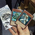 遊戲王卡.jpg