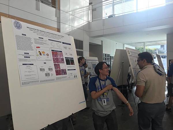 22119692_1616698945028965_1081626474_o