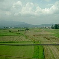 PICT0103.JPG