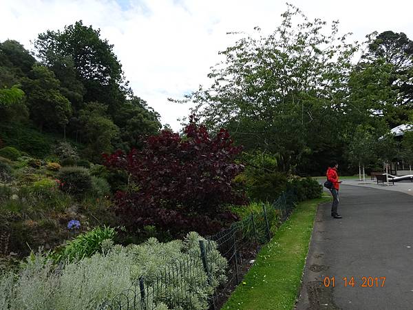 DSC09141.JPG DSC09141.JPG
