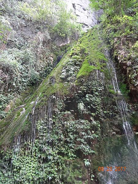 《重慶市》1  天生三橋(武隆)、龍鱗石海&黑山谷(萬盛)