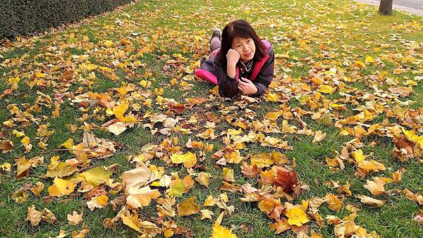 20171107_171110_0024.jpg 20171107_171110_0024.jpg