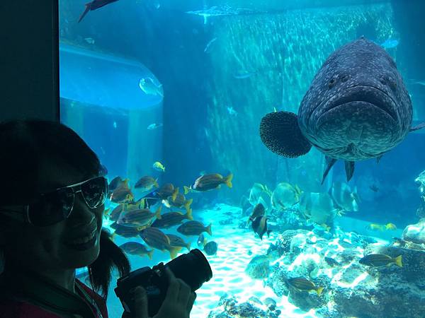 沖繩day2 象鼻石，古宇利島，水族館_180601_0250.jpg