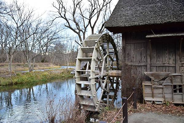 《日本》2 北陸冬戀戲雪~熱田神宮、馬籠宿、大王山葵農場