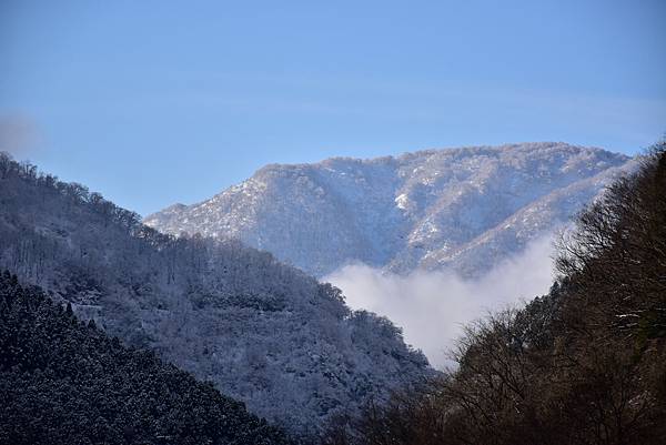 《日本》4 北陸冬戀戲雪~庄川遊船、湯之國森林傳統工藝村、兼