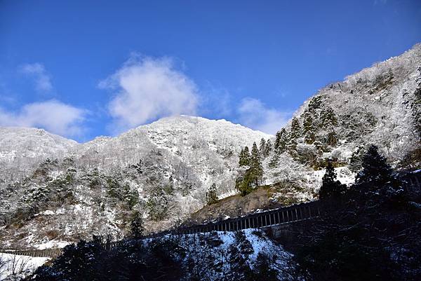 《日本》4 北陸冬戀戲雪~庄川遊船、湯之國森林傳統工藝村、兼