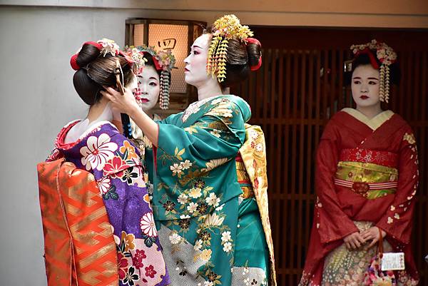 《日本》1 還未盛開的京都賞櫻行~伏見稻荷大社、 圓山公園、