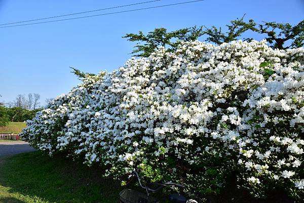 《北海道》3  道南地區~定山源泉公園、北海道神宮、大通公園