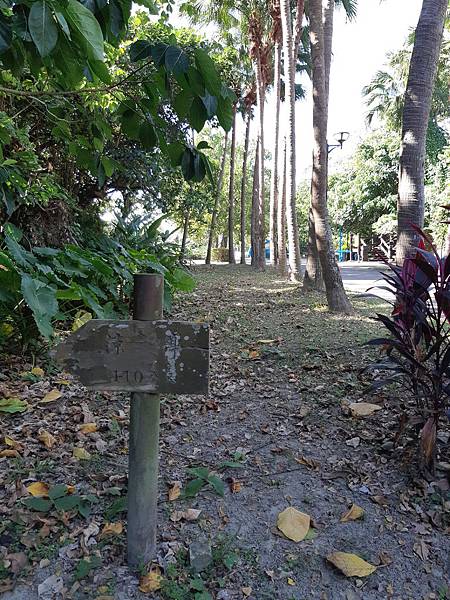 《台北市》公館/自來水園區~「管管」風情&小觀音山生態登山步