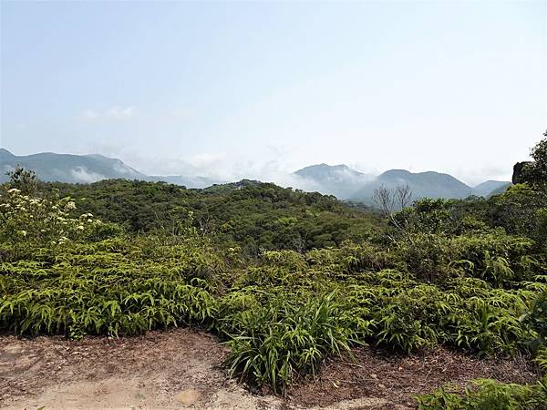 《台北市》北投區~軍艦岩親山步道，輕鬆走