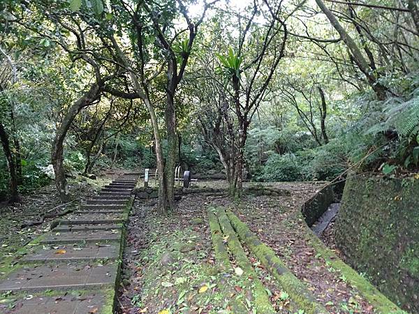 《新北市平溪》沒完成的孝子山步道、十分瀑布 微雨天漫步遊