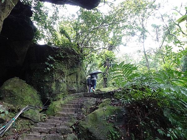 《新北市平溪》沒完成的孝子山步道、十分瀑布 微雨天漫步遊