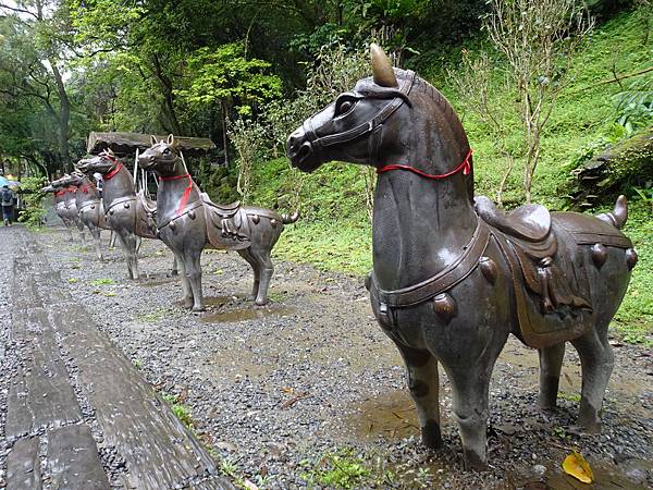 《新北市平溪》沒完成的孝子山步道、十分瀑布 微雨天漫步遊