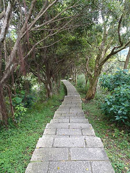 《台北市》永春陂生態濕地公園、虎山峰~虎山環狀步道1，半日漫