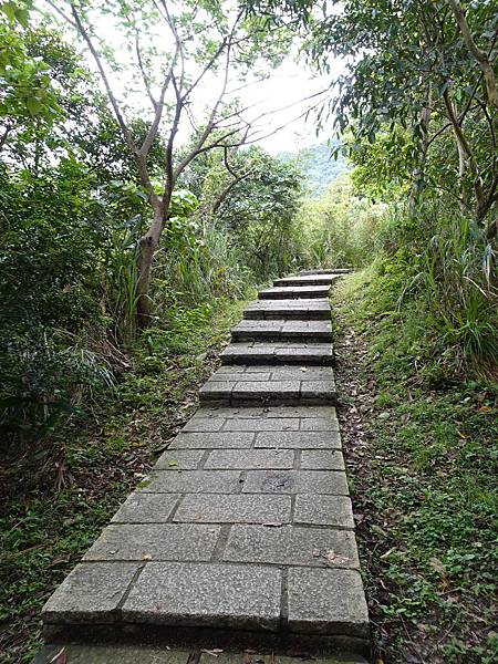 《台北市》永春陂生態濕地公園、虎山峰~虎山環狀步道1，半日漫