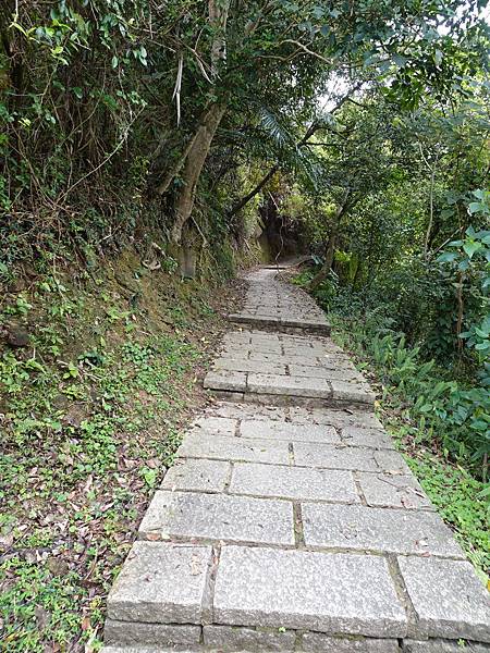 《台北市》永春陂生態濕地公園、虎山峰~虎山環狀步道1，半日漫