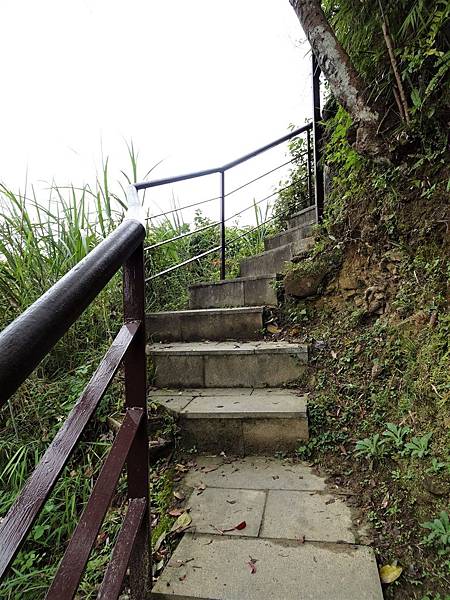 《台北市》永春陂生態濕地公園、虎山峰~虎山環狀步道1，半日漫