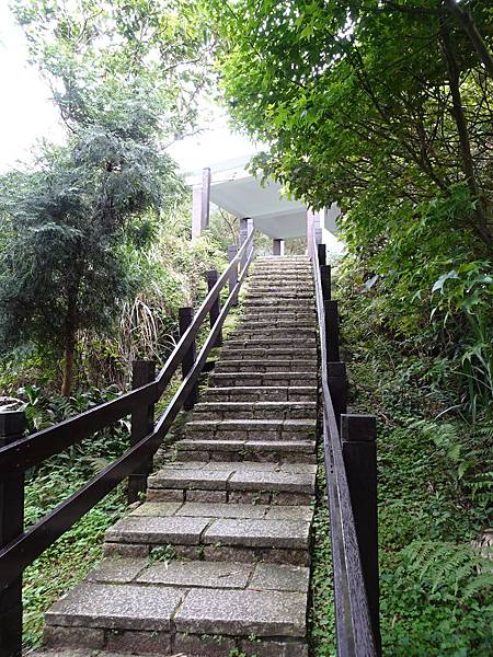 《台北市》永春陂生態濕地公園、虎山峰~虎山環狀步道1，半日漫