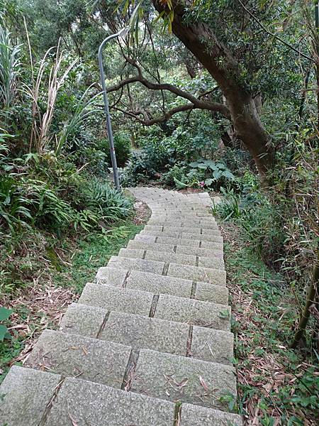 《台北市》永春陂生態濕地公園、虎山峰~虎山環狀步道1，半日漫