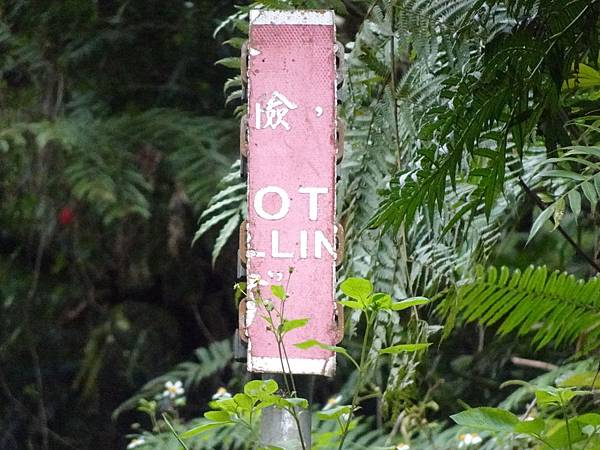 《台北市》永春陂生態濕地公園、虎山峰~虎山環狀步道1，半日漫