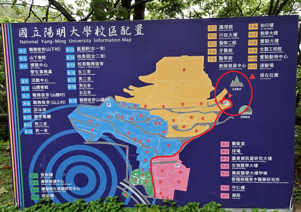 《台北市》北投區~軍艦岩親山步道，輕鬆走