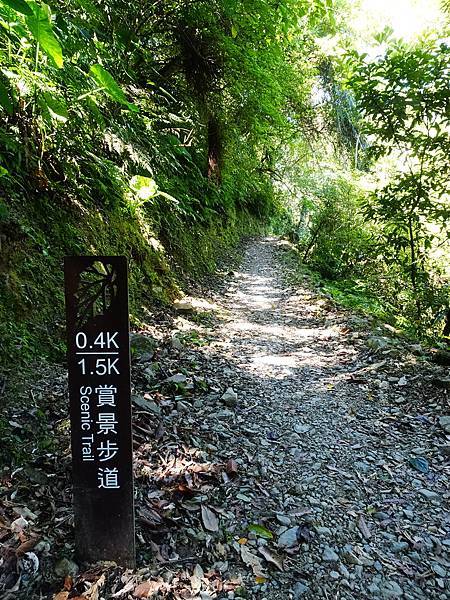 《新北烏來》內洞國家森林遊樂區~ 3條步道，順時鐘走法較不累