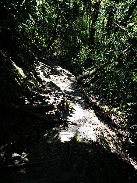 《新北烏來》內洞國家森林遊樂區~ 3條步道，順時鐘走法較不累