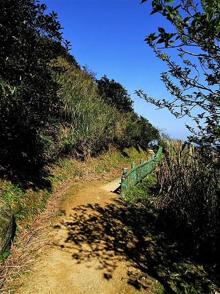 《新北市》瑞芳區~無耳茶壺山步道