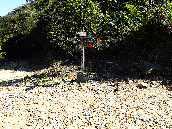 《新北市》瑞芳區~無耳茶壺山步道