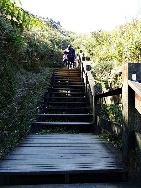 《新北市》瑞芳區~無耳茶壺山步道