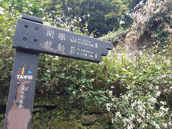 《台北市》內湖~龍船岩步道，離市區近又能滿足刺激感的步道