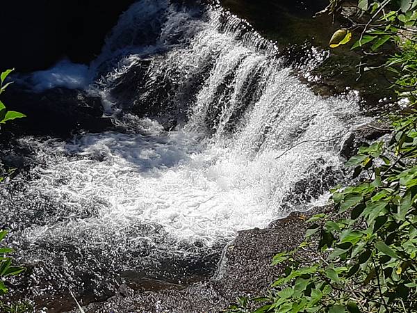 《新北三峽》滿月圓國家森林遊樂區~夏日的森林浴