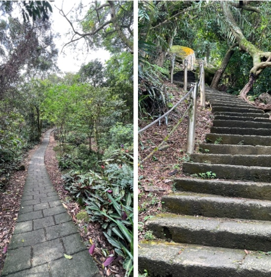 《新北市》土城區~朝山步道&火焰山步道~意外完成上天安排之旅