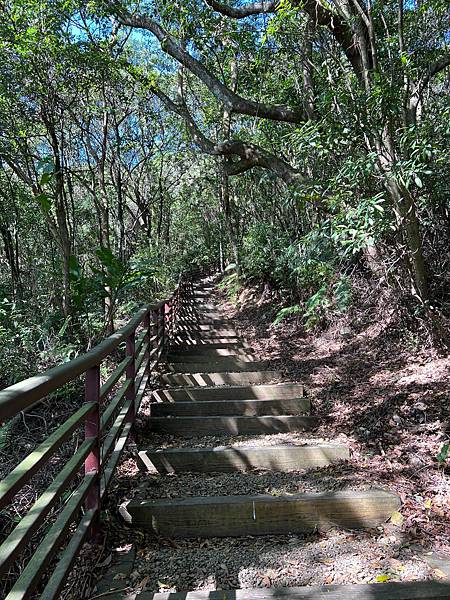 《台北市》碧湖步道、碧山露營場/天空步道~輕鬆遊